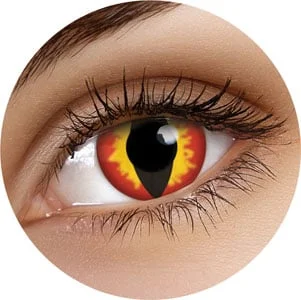 24hshop202609130724461619951